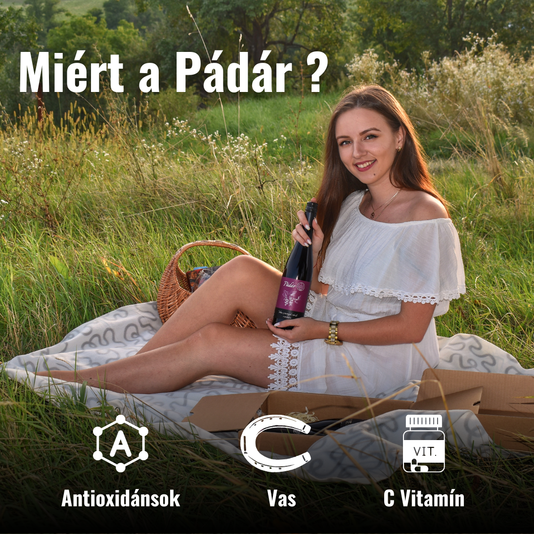 Výber ríbezľových vín 